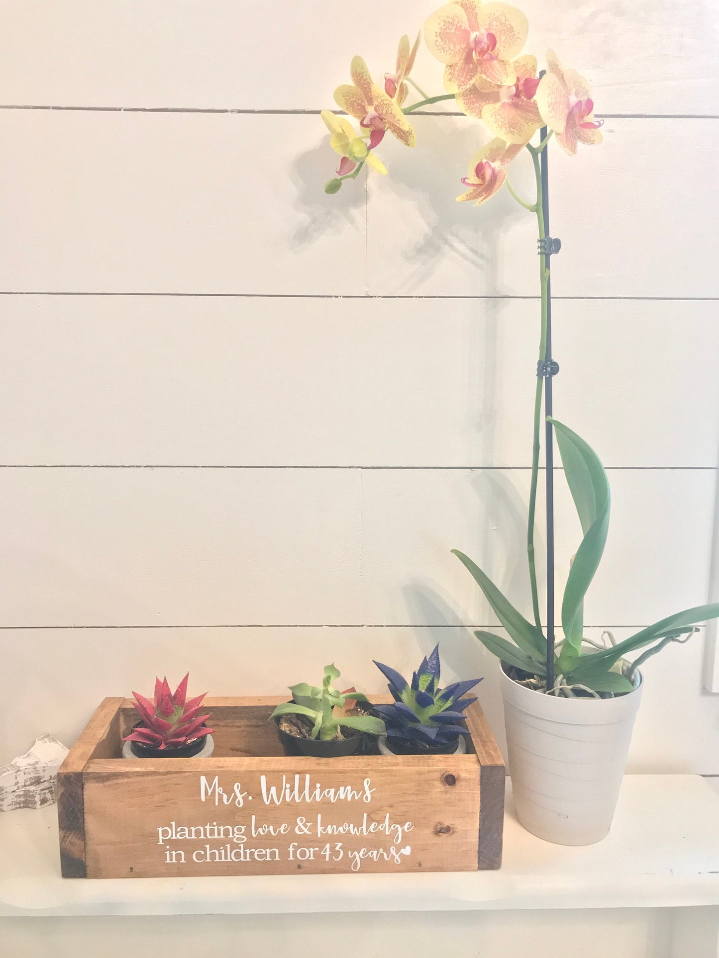 Teacher Retirement Planter