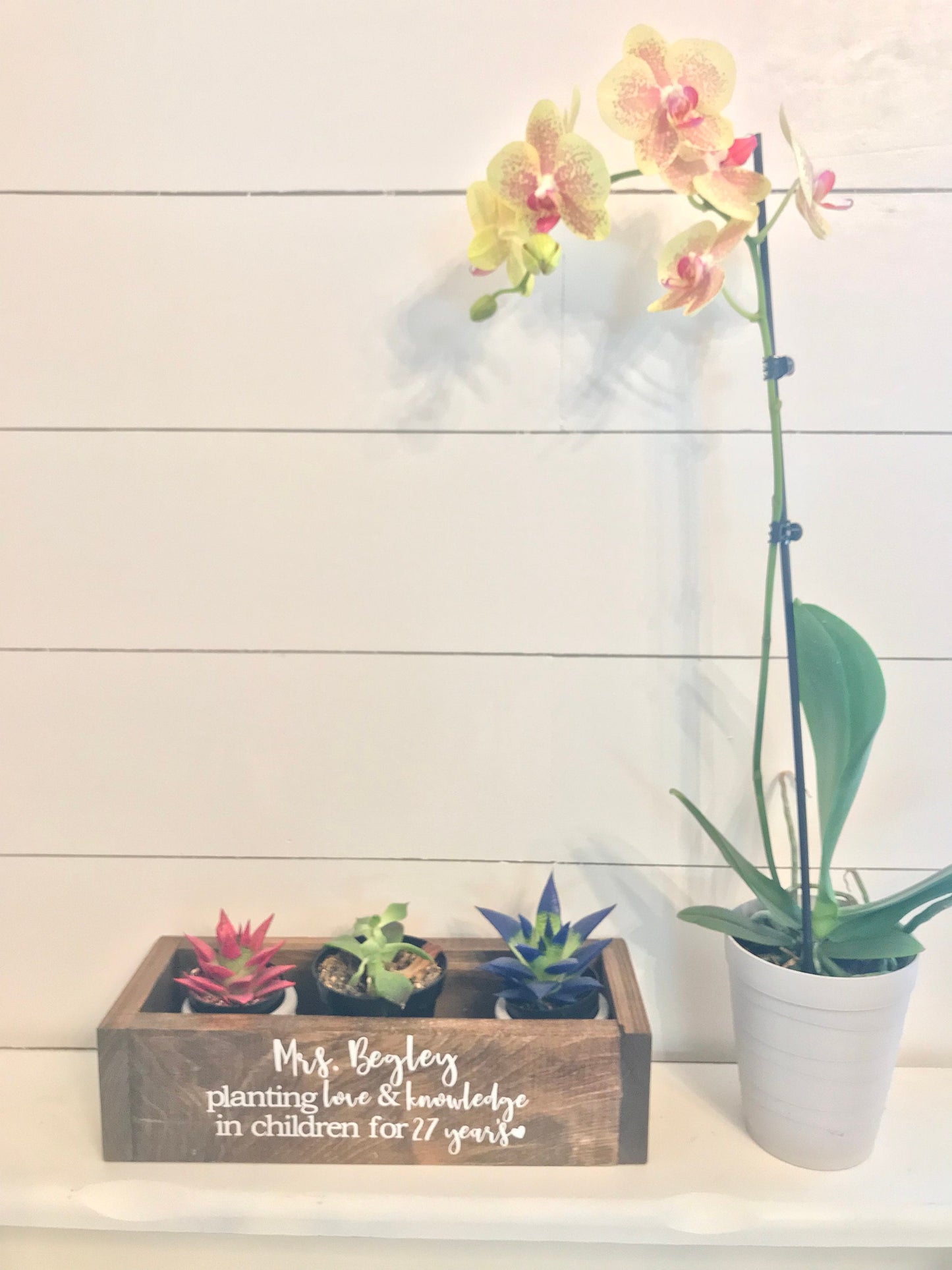 Teacher Retirement Planter